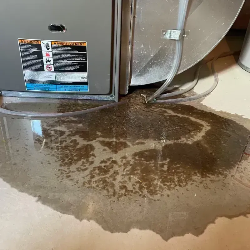 Appliance Leak Cleanup in Chrisman, IL